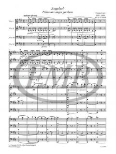 Chamber Music For Violoncellos 15 im Alle Noten Shop kaufen