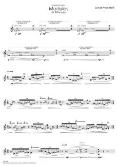 Modules für Flöte solo von David Philip Hefti im Alle Noten Shop kaufen