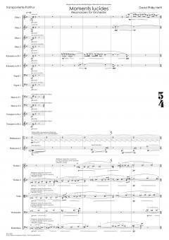 Moments lucides von David Philip Hefti 