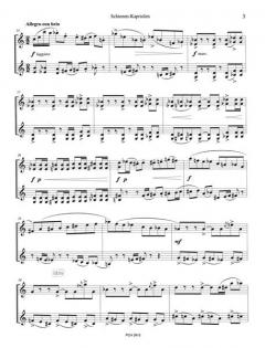 Schienen-Kapriolen von Hans-Günther Allers 