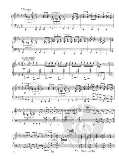 Jazz Nocturne And Other Piano Music von Dana Suesse 