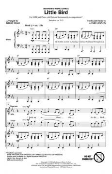 Little Bird von Annie Lennox (Download) 