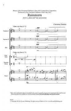 Rainstorm (Christine Donkin) 