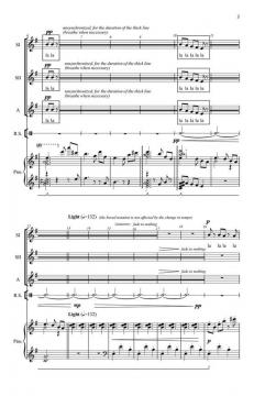 Rainstorm (Christine Donkin) 