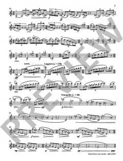 Callisto von Huw Watkins 