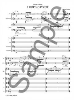 Looping Point (Kevin Volans) 
