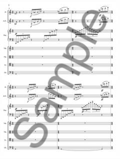 Looping Point (Kevin Volans) 