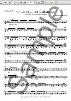 A Neat Slice Of Saraband (Michael Nyman) 