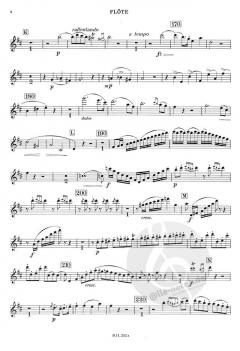 Sonate D-Dur op. 50 von Johann Nepomuk Hummel für Flöte und Klavier im Alle Noten Shop kaufen