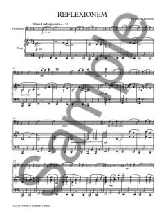 Reflexionem von Patrick Hawes 