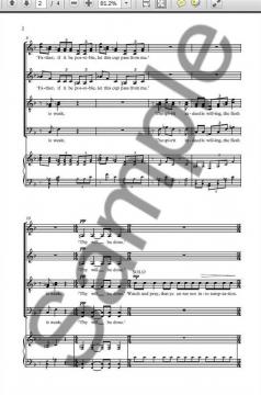 On The Mount Of Olives von Ralph Allwood 