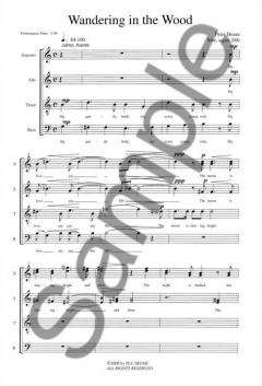 Wandering In The Woods (Peter Bruun) 