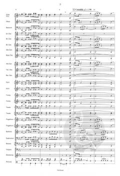 Slovenia - Symphonic Overture - (Alfred Bösendorfer) 