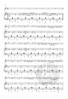 Two Irish Friends (Rudi Braun) 