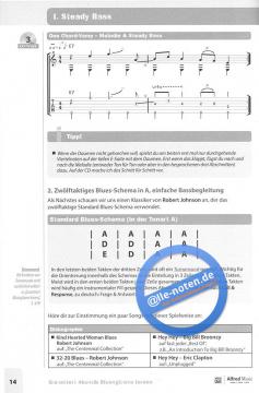 Garantiert Akustik-Bluesgitarre lernen von Andi Saitenhieb 