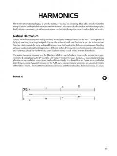 Essential Bass Guitar Techniques 