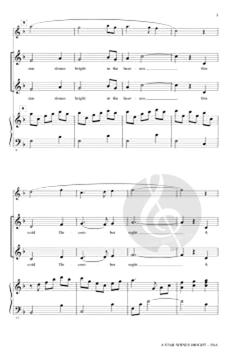 A Star Shines Bright (George L.O. Strid) 