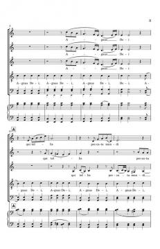 Agnus Dei (Karl Jenkins) 