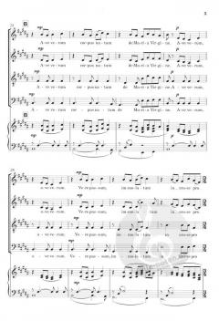 Ave verum corpus (Karl Jenkins) 