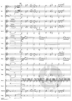 March To Concord (Rick Kirby) 