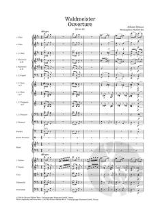 Waldmeister Ouverture RV 515-OU von Johann Strauss (Sohn) für Orchester aus Waldmeister (1. Auflage) im Alle Noten Shop kaufen