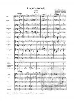 Liebesbotschaft RV F-678 von Johann Strauss (Sohn) 