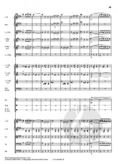 Thermen op. 245 RV 245AB/C von Johann Strauss (Sohn) 