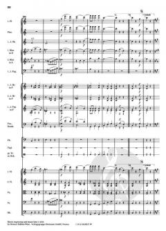 Thermen op. 245 RV 245AB/C von Johann Strauss (Sohn) 