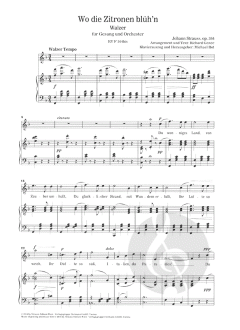 Wo die Zitronen blüh'n op. 364 RV F-364bis von Johann Strauss (Sohn) 