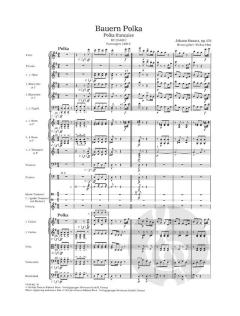 Bauern Polka op. 276 RV 276AB/C von Johann Strauss (Sohn) 