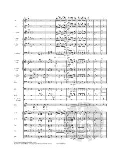 Bauern Polka op. 276 RV 276AB/C von Johann Strauss (Sohn) 