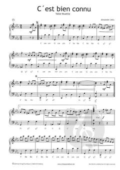 Akkordeon Power 2 von Alexander Jekic im Alle Noten Shop kaufen