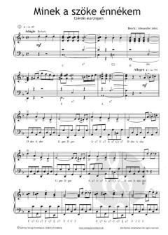 Akkordeon Power 2 von Alexander Jekic im Alle Noten Shop kaufen