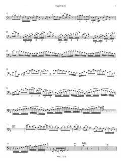 Konzert F-Dur (Andreas Schwarz) 