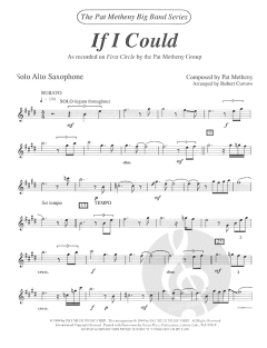 If I Could (Pro) von Metheny 