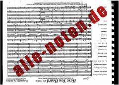 Have You Heard (Pro) (Pat Metheny) 