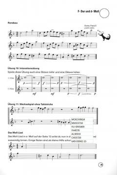 Die D2 Schule für Sopranflöte (Spielmannsflöte) von Bernd Nawrat im Alle Noten Shop kaufen