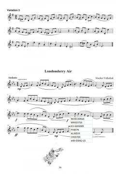 Übungsheft Trompete/Tenorhorn D2 von Bernd Nawrat im Alle Noten Shop kaufen