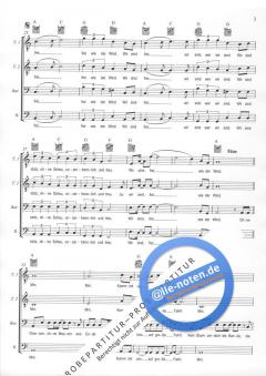 Frei wie der Wind (Santiano) 