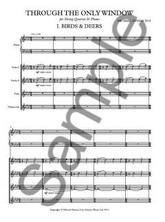Through The Only Window (Michael Nyman) 