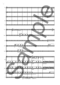 St. Carolyn By the Sea von Bryce Dessner 