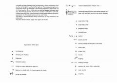 Quotations von Herman Rechberger 