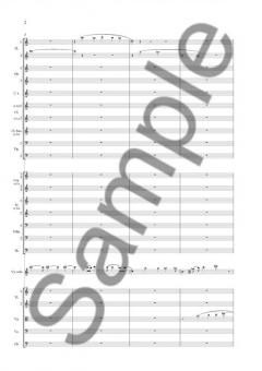 Concerto for Viola and Orchestra von Poul Ruders im Alle Noten Shop kaufen (Partitur)