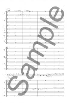 Concerto for Viola and Orchestra von Poul Ruders im Alle Noten Shop kaufen (Partitur)