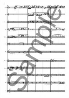 Concertino for Flute and Orchestra von Laurence Roman im Alle Noten Shop kaufen (Partitur)