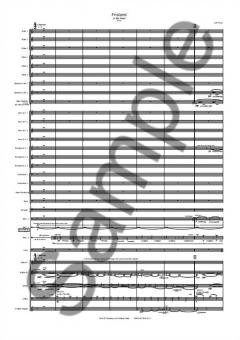 Frisland von Luís Tinoco 