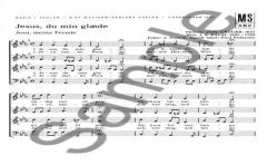 Jesus, Meine Freude/Nun Ruhen Alle Wälder (J.S. Bach) 