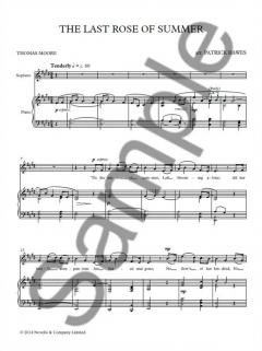 The Last Rose of Summer 