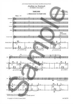 Acallam na Senórach von Tarik O'Regan 