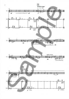 Acallam na Senórach von Tarik O'Regan 